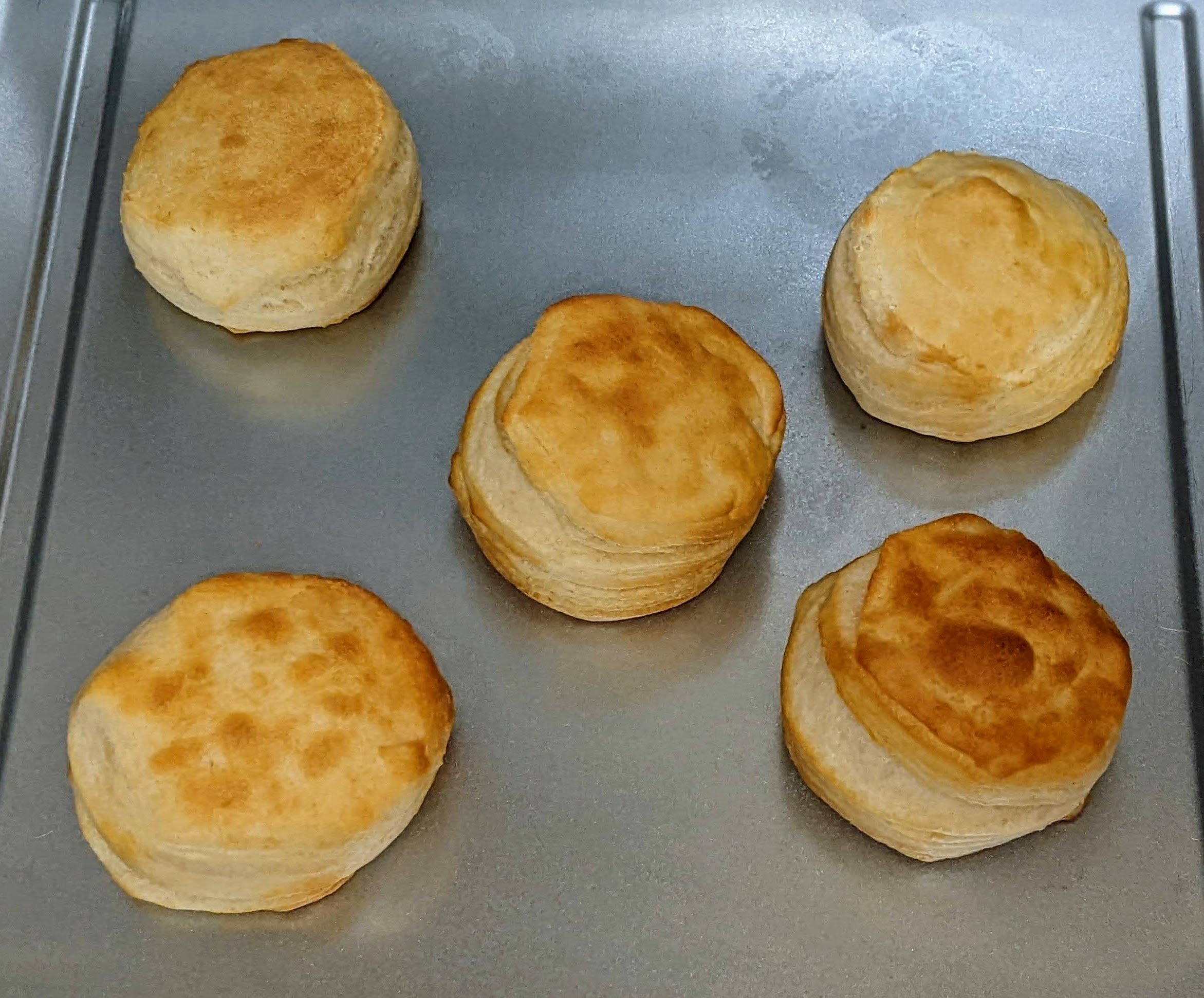 Layered Biscuits